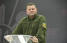 Зеленский обсудил с Залужным обновление руководства ВСУ