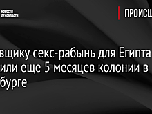 Поставщику секс-рабынь для Египта добавили еще 5 месяцев колонии в Петербурге