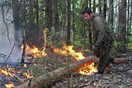 За сутки в крае потушили пять лесных пожаров