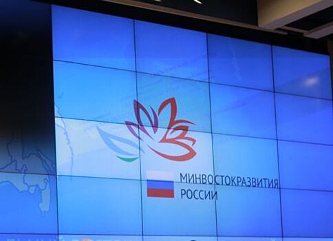 Счетная палата оштрафовала замглавы Минвостокразвития