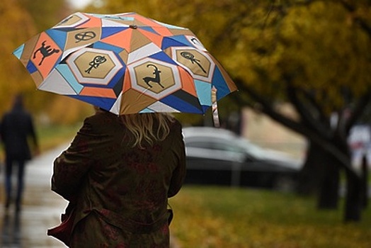 До плюс 13 градусов и небольшие дожди ожидаются в Московском регионе в воскресенье
