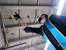 В Красноярском крае трудоустроили почти 200 выпускников вузов и ссузов