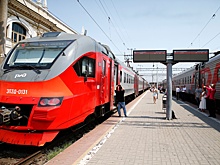 В поездах разрешили провозить летающих поссумов и сурикатов