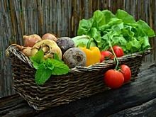 Как оградить граждан от продажи некачественных овощей и фруктов?