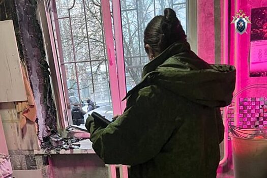 Школьница зарезала мать во время ссоры в Петербурге