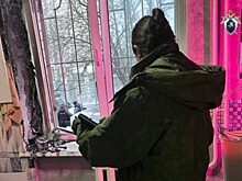 Школьница зарезала мать во время ссоры в Петербурге