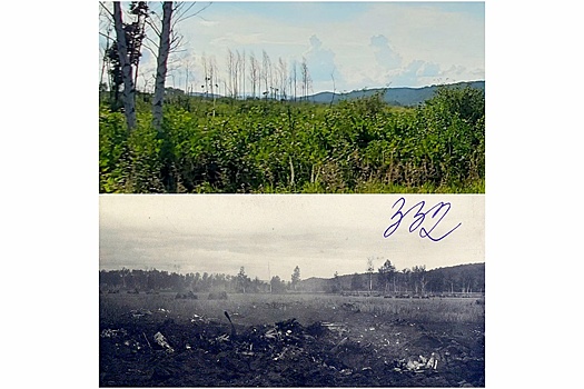 В Приморье нашли место гибели бомбардировщика времен Великой Отечественной