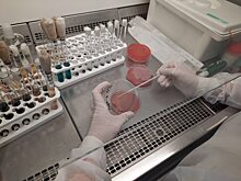 Саратовская испытательная лаборатория по обращению предприятия провела контроль эффективности выполненной дезинфекции