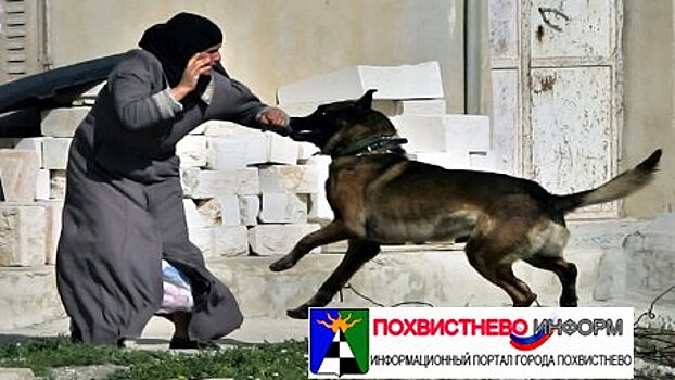 Женщине выплатили компенсацию после нападения собаки в Самарской области