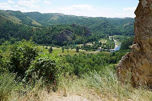 В Оренбуржье для туристов начал работать новый чат-бот