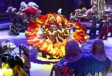 Трюки гиппопотамов и необычный клоун: в Омском цирке стартует шоу «Песчаная сказка», которое перенесет в ...
