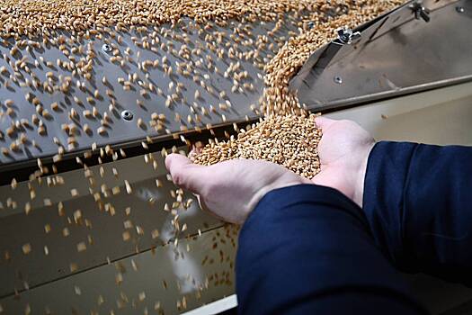 В России допустили резкий рост закупок зерна в госфонд из-за проблем с экспортом