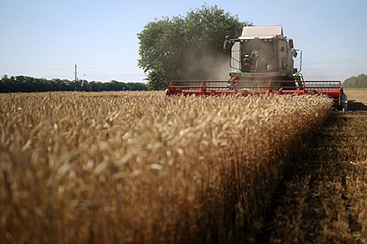Поставки зерна из России превысят 43 миллиона тонн за 2019-2020 годы