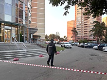 Собянин: Силы ПВО сбили беспилотник на подлете к Москве