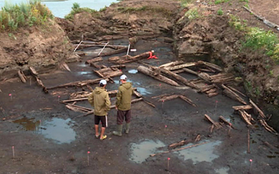 Остров Вежи порадовал археологов уникальными находками
