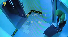 Супруги украли сейф с 91 млн рублей из офиса московской компании