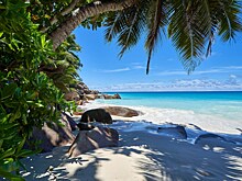 Туристам предложили слетать на Сейшелы на Новый год за 60 тысяч рублей