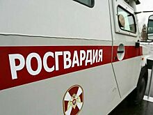 Трудовые права добровольцев Росгвардии защитят законом