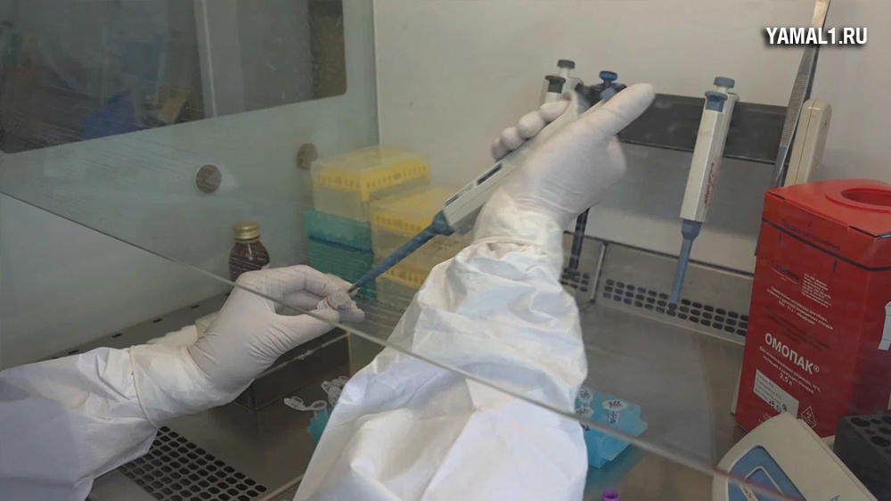Роспотребнадзор: больницы Ямала готовы к подъему заболеваемости коронавирусом