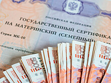 Остатки маткапитала получили более 120 тысяч семей в России
