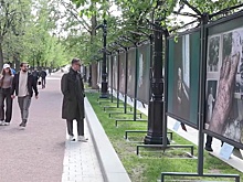 В Москве на Тверском бульваре открылась фотовыставка о ветеранах