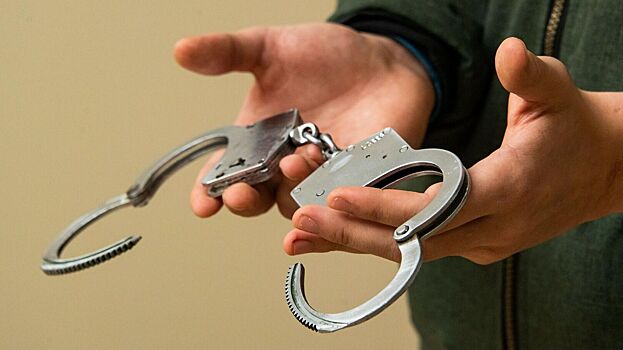 Полиция задержала 11 участников драки в ЖК «Прокшино» в Москве