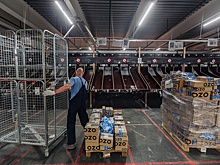 Кадровый резерв обеспечивает профессиональный рост в Ozon