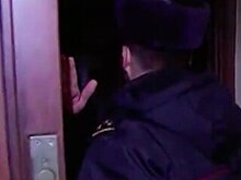 Россиянки обратились в суд за компенсацией из-за домашнего насилия