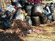 Горожан возмутили горы мусора на центральном кладбище