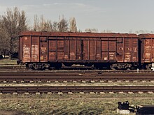 Казахстан оказался под временным запретом поставок зерновых и масличных в Россию