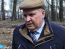 Глава Анны Павел Мургин предстанет перед судом за незаконную вырубку 400 деревьев