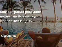 В каких странах россияне отдохнут на Новый год: направления и цены
