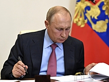 Историк: Путин в статье использовал фейковую цитату Гитлера из экстремистской книги