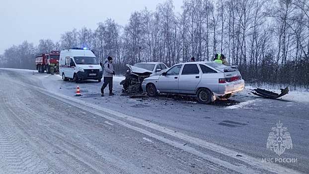 Обгон по «встречке» привел к ДТП с тремя погибшими в Дивеевском округе