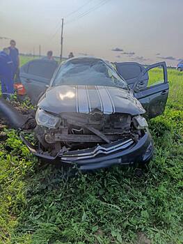 В Алнашском районе водитель иномарки вылетел с трассы и погиб