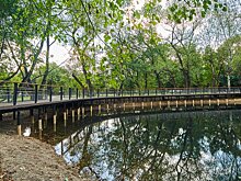 В парке "Кусково" завершили экологическую реабилитацию Локасинского пруда