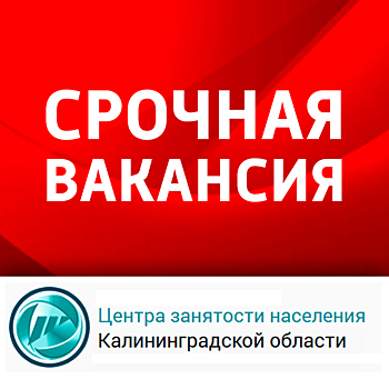 Обновлен список срочных вакансий Центра занятости Калининградской области