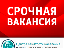 Обновлен список срочных вакансий Центра занятости Калининградской области