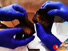 В Бурсе изъяли христианские библии возрастом 2 тыс. лет