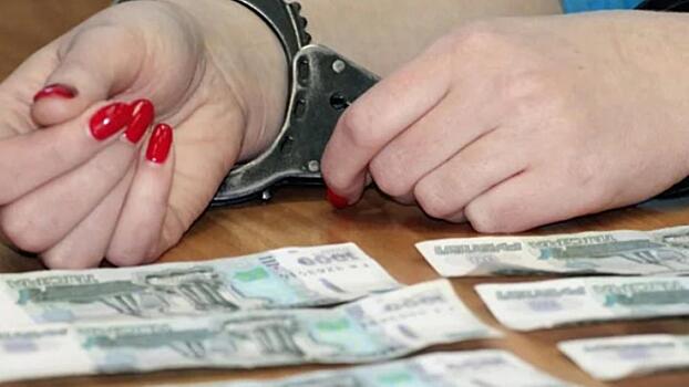 Столичная полиция уличила няню-домработницу в краже у работодателей имущества на 1 млн рублей