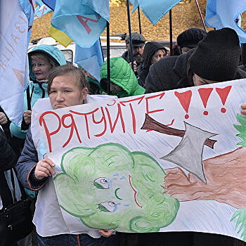 «И это окно в Европу?» В Киеве митингуют против вырубки лесов. ФОТОРЕПОРТАЖ (текст готов) (фото готово)