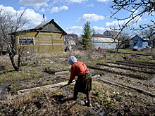 Откуда взялись стандартные "шесть соток"