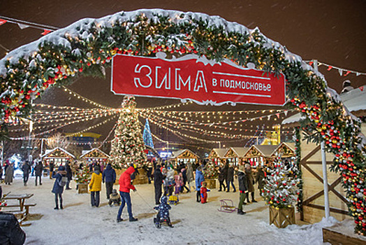 Количество елок для новогоднего оформления увеличилось в Подмосковье за год на 15% - почти до 2 тыс.