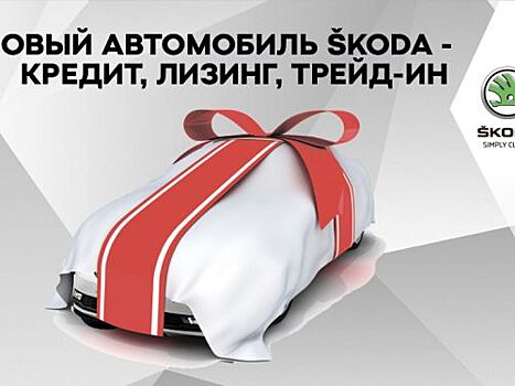 Как купить новый автомобиль ŠKODA без накопленных сбережений?
