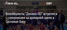 Волейболисты "Динамо-ЛО" встретятся с соперниками на домашней арене в Сосновом Бору