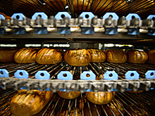 В Петербурге опровергли введение суточной нормы хлеба на случай войны