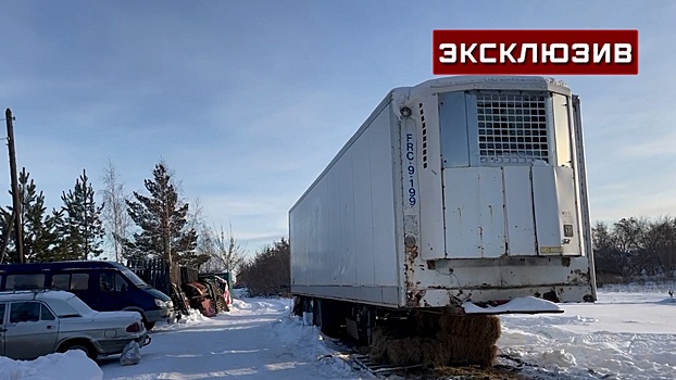 В Копейске львов оставили в фургоне передвижного шапито в 30-градусный мороз