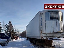 В Копейске львов оставили в фургоне передвижного шапито в 30-градусный мороз
