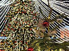 Москвичи планируют провести Новый год в столице как туристы