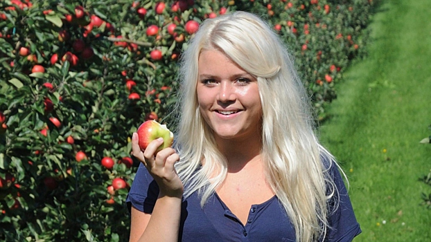 Врач Тарасова: еда на бегу приводит к стрессу и хроническим заболеваниям ЖКТ